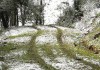 capa-neve