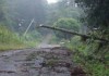 riovermelho-temporal-vento4