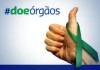 doacaoorgaos-reproducao